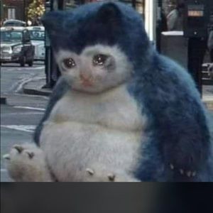 Meet your Posher, Janet